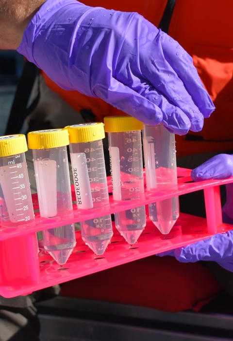 A biologist holds a tray of plastic tubes of water samples in gloved hands.
