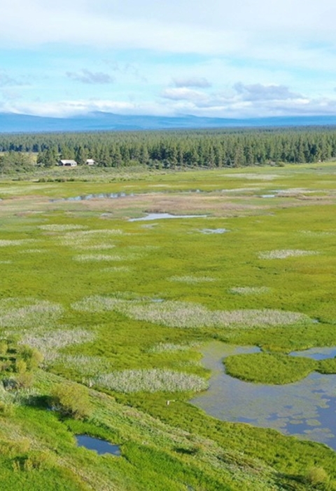 Klamath Marsh Refuge from the air looking West