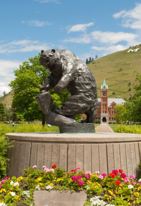 A silver statue of a grizzly bear surrounded by flowers with buildings and a green hill in the distance
