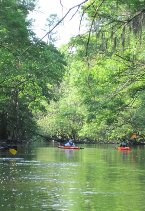 Kayakers on river