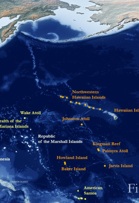 A map showing the Pacific Islands. The map shows the area of responsibility the Pacific Islands Fish and Wildlife Office hold across territories in the Pacific.
