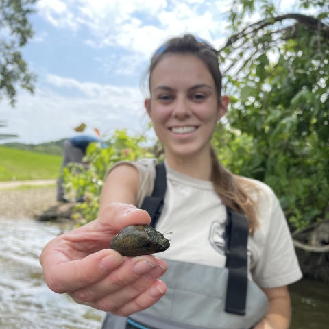 employee holding a freshwater mussel