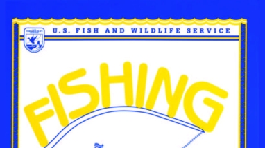 An image of the Fishing Coloring Book.