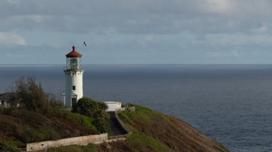 photo of a lighthouse on a bluff looking over the ocean. There is a paved path leading up to it. 
