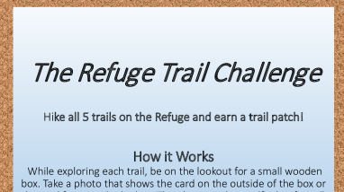 Trail Challenge