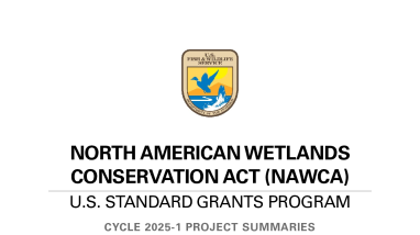 North American Wetlands Conservation Act Project Summaries, 2025-1
