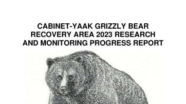 Cabinet-Yaak Grizzly Bear Recovery Area 2023 Research and Monitoring Progress Report