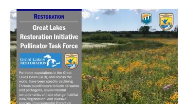 Great Lakes Pollinator Task Force Handout