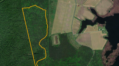Blackwater NWR Three Trail Geospatial PDF Map