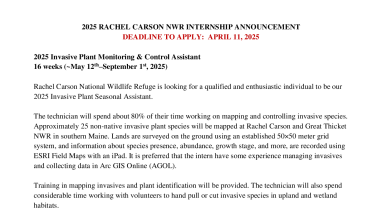Rachel Carson NWR 2025 Invasive Plant Monitoring & Control Assistant