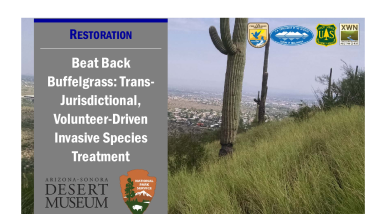 Beat Back Buffelgrass: Trans-jurisdictional, Volunteer-Driven Invasive Species Treatment Case Study Handout