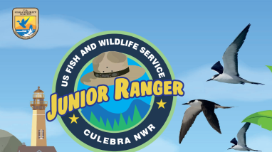 Culebra NWR Junior Ranger Program Booklet (English Version)