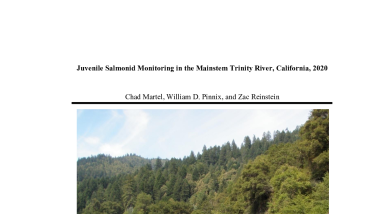 Juvenile Salmonid Monitoring in the Mainstem Trinity River, California, 2020