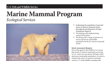Marine Mammal Program Fact Sheet 2026