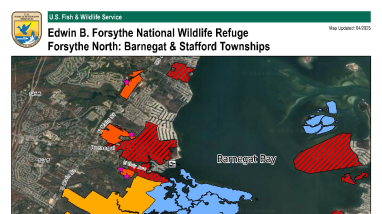 Barnegat & Stafford Townships Hunt Areas, Edwin B. Forsythe National Wildlife Refuge