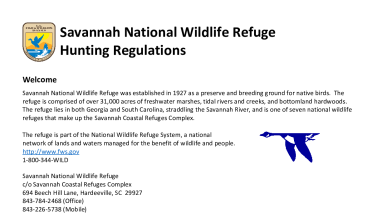 2026-27 Savannah NWR Hunt Regulations