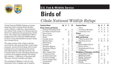 Birds of Cibola National Wildlife Refuge
