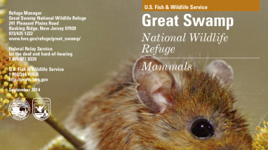 Great Swamp National Wildlife Refuge Mammals Brochure