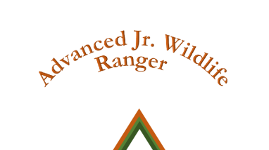 NEWAdvanced Jr. Ranger Booklet 7-23-2022.pdf