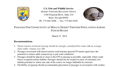 Mojave Desert Tortoise passage spacing recommendations