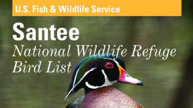 Santee Birds 2023.pdf