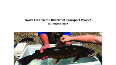 North Fork Tieton Bull Trout Transport Project: 2017 Progress Report