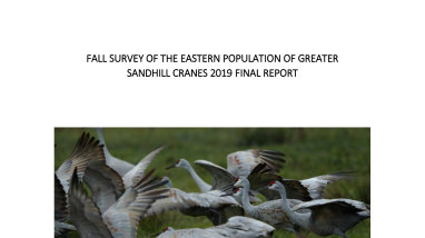 Eastern Population of Greater Sandhill Crane Fall 2019 Survey
