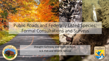 Transportation and Environment Conference 