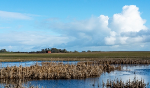 Irwin-Cheadle Barn in the background with Mitigation Pond wetland in the foreground