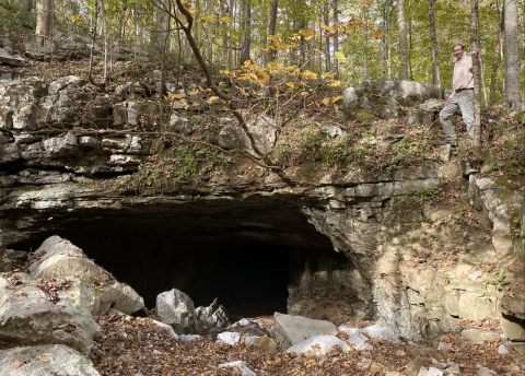 A man standing over the entrance of a cave looks over a wide forest.