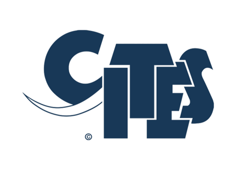 Logo with letters C I T E S in dark blue, and a tail coming out from between letters C and I.