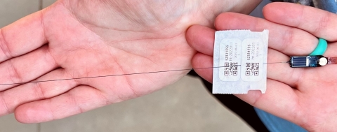 Motus nanotag on a persons hands