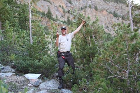 Cortez Rohr in his Service uniform holds a pinecone while he bends a thin sapling towards himself. 