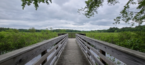 A wooden observation deck off of Weir Hill Trail