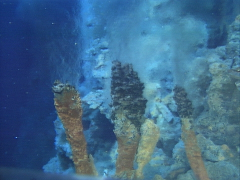 Mariana Trench smoking vents