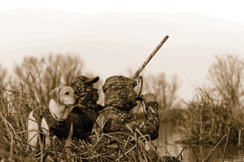 Two hunters in camo clothing hide with a hunting dog in the tules beside a marsh. One hunter is using duck call while the other holds a shotgun.