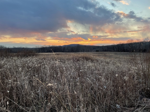 Sunset seen across a field turns distant horizon orange.