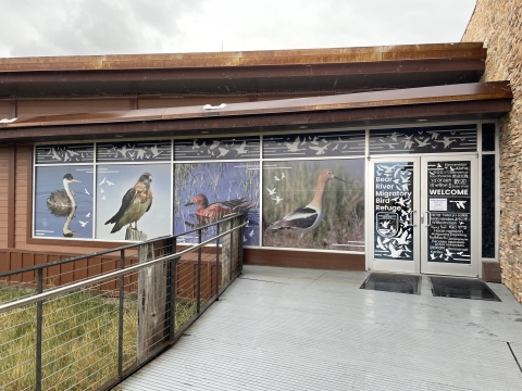 Outside of entryway, showing doors and windows with large photographs over the glass