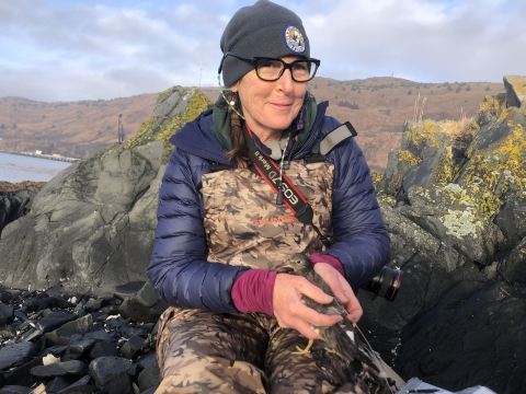 Biologist Robin Corcoran in chest waders and cold weather clothing holding a surfbird with both hands while sitting near a rocky shoreline in Alaska .