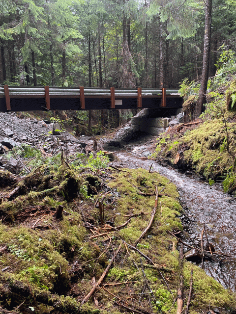 a bridge over a wooded creek