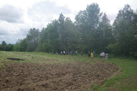A group of individuals walk alongside a clearing near trees