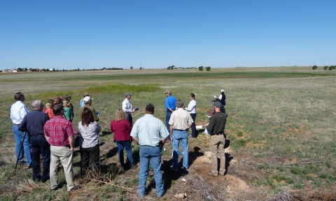 Individuals stand around discussing on a grassy area of land
