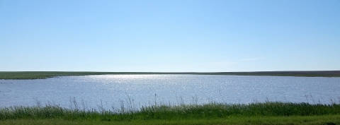 A body of water