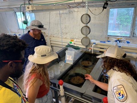 A young man and a young woman lean in to examine a water basin. A woman in a Fish and Wildlife Service Uniform reaches into the basin to grab a small shellfish.