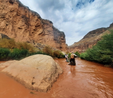Two researchers with nets in a river