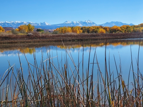 A lake with trees and mountains in the distance