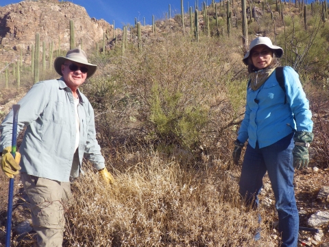 Two individuals in fieldwork attire stand in a grassy field with cacti in the background
