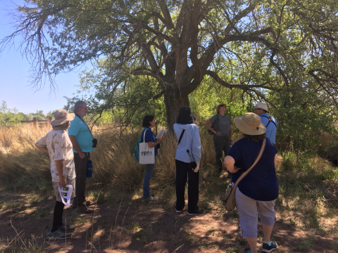 A group of individuals standing by a tree in a field