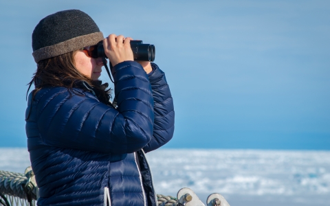 Biologist surveys for seabirds