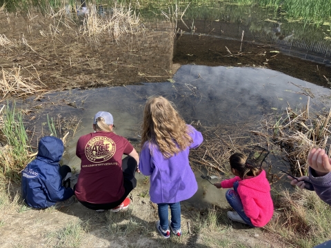 A group of children play on the edge of a pond.